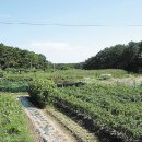 논골목장 이미지