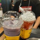 돼지야&닭
