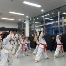 JMC 태권도 이미지