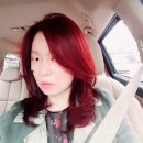 필프로헤어