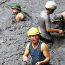 베트남 기록적 호우, 탄광과 발전소 유독물질 유출 이미지