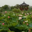 삼락생태공원 이미지