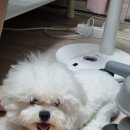 유인어스펜션 이미지