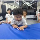 푸른경희태권도장 이미지