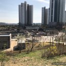 김포아트빌리지 한옥마을 이미지