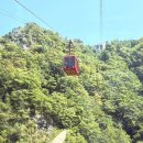 모노마트포항점 | [울릉도] 2박3일 자유여행 코스 추천 및 경비 정리