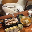 바우밸리 | 남양주 계곡식당 너래바우집 수동계곡맛집 추천