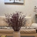 이문로30길 이미지