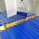 무궁화태권도 이미지