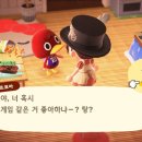 파니투어 이미지