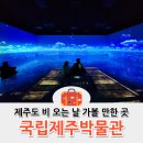신정시장앞(31105) (옥외1) | 제주도 실내 가볼 만한 곳 국립제주박물관 실감영상실