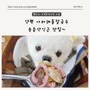양평 애견동반식당 아라해물칼국수 용문산 인근 맛집 내돈내산 방문 후기