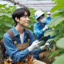 원흥부동산~화훼농가 | 식물보호산업기사 응시자격, 필기실기 준비, 독학으로 합격하기