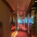 제주 스탠다드 이미지