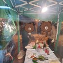 모나캠핑파크 대청마루 이미지