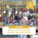 제주시 민속오일시장 6주차장 네이버블로그