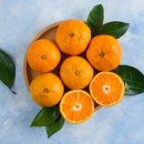 비타민한의원 이미지