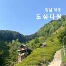 경남 하동 녹차카페 도심다원 후기