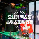 모노패스솔루션 | 일본 오사카 엑스포 기간 입장권 마스코트 스위스관 파빌리온 반입 금지 품목