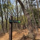 (유)대신건설 | [관악산 연주대] 등산 후기 | 초보자 코스 추천 + 소원 성지 다녀온 후기