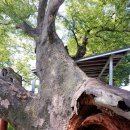 검암리 입구 이미지