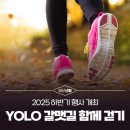 YOLO갈맷길 8코스 | 부산 &#39;욜로(YOLO) 갈맷길 함께 걷기&#39; (10,18~12.14)