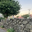 숙성도제주본점 이미지