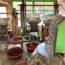 에셀음악학원 이미지