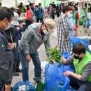 정선산나물 - 정선군 고한7길 5-37 | 정선산나물