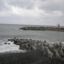 아침의 바다 이미지