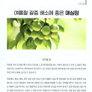 성모노인복지센터 이미지