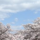 아리랑행정사합동사무소 이미지