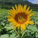 난정낚시터 이미지