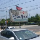 창해물회식당