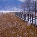 르방베이커리 이미지