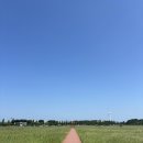 초원꽃화원 | #02 안산 대부도 | 바람의 화원에서 자연을 느끼다