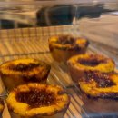 꼬솝 | 정자역 카페 에그타르트 맛집 카페 꼬솝 내돈내산 후기