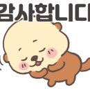 성북제일큰약국 이미지