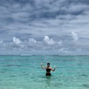 아로아(AROA) 이미지