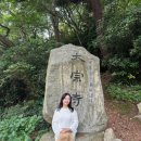 (주)타고렌트카 | 부산 렌트카 타고 부산 여행 코스 7월 국내여행지 부산 렌터카추천