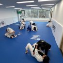 원코리아 | 초보자도 걱정 없는 아산주짓수, 원코리아주짓수 후기