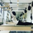 제스트(501) 이미지