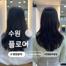 영통로27번길 | [수원] 플로어/ 병점염색/ 반월동미용실/ 병점미용실/ 블랙커런트 염색도전기🍇