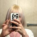 리호헤어