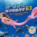 아쿠아 스포츠경향