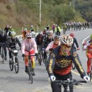 자전거연합회 이미지