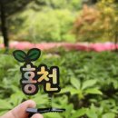 홍천(양양)휴게소 이미지
