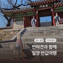 밀양관아 | 반려견과 함께한 밀양반값여행 후기 지정관광지 인증샷