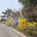 숲속의산책 펜션 | 세상에서가장 아름다운펜션 # 나주숲속의산책펜션