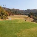 (주)그린투 네이버블로그